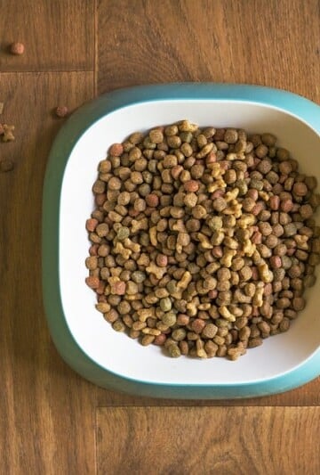 Dog paws beside a bowl of dog kibble