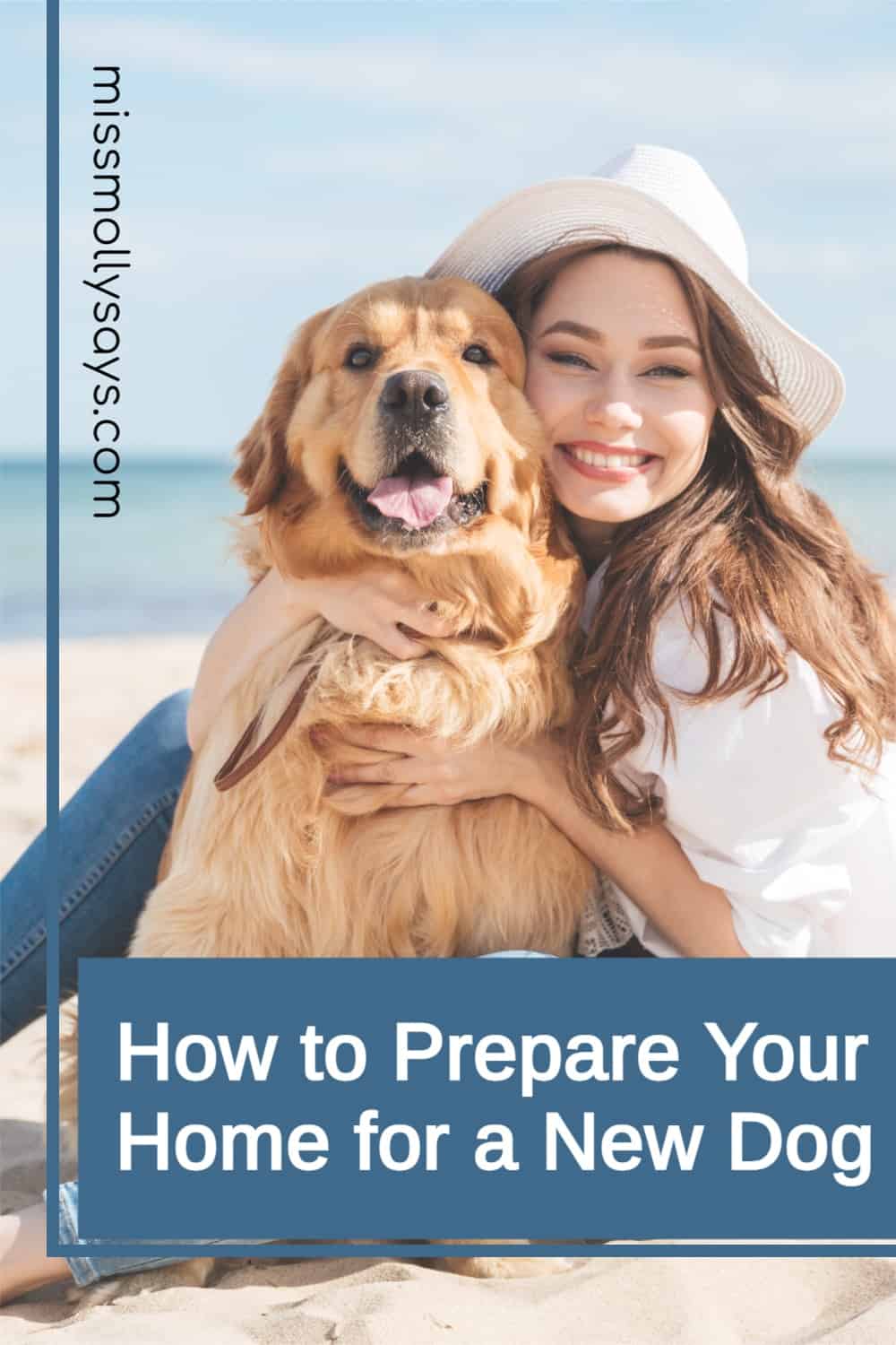 How to Prepare Your Home for a New Dog - Miss Molly Says