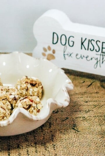 NO-BAKE Soft & Fruity Dog Treats with Apples & Cranberries Perfect for Pill Pockets