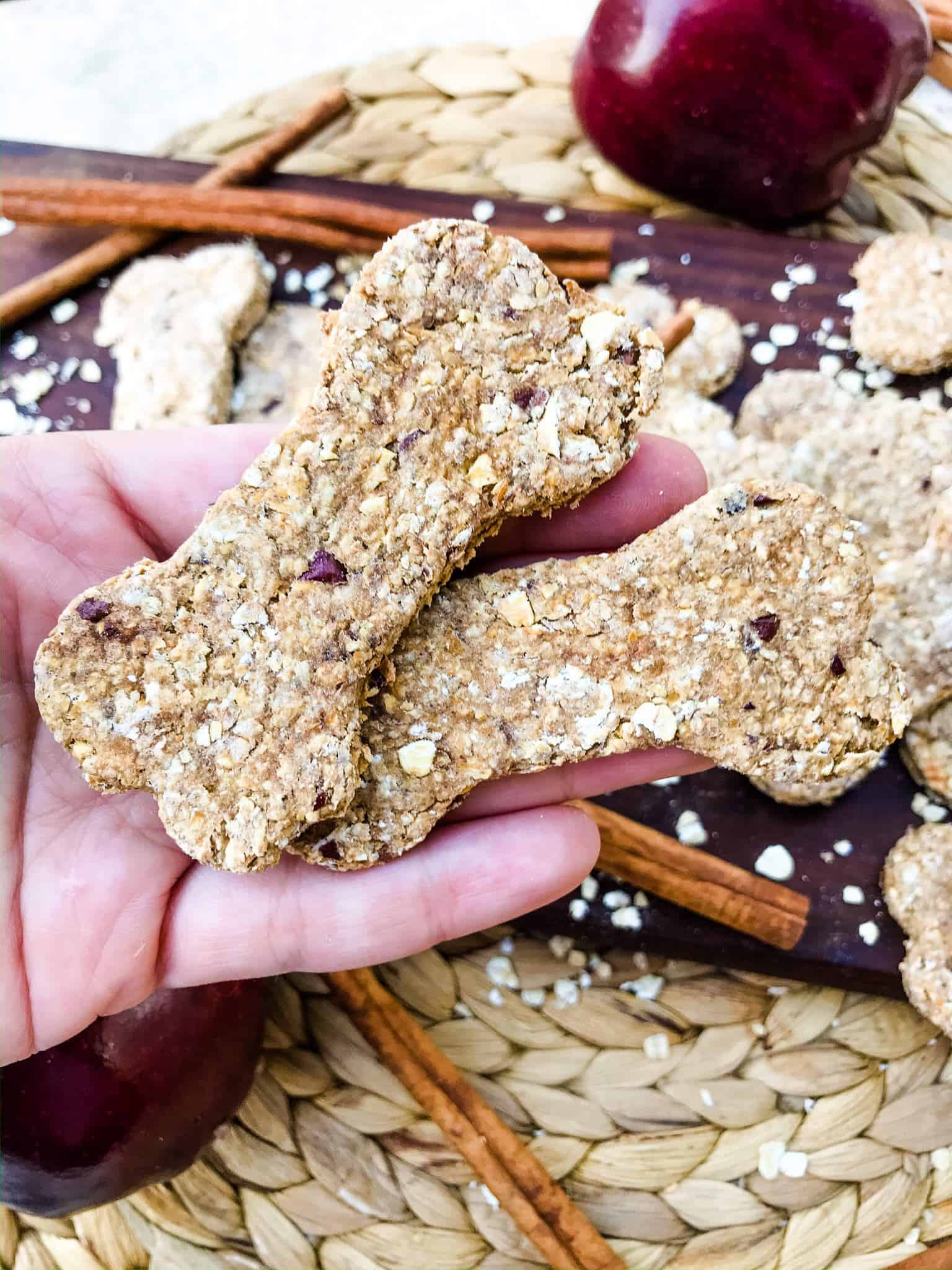 16 Healthy Apple Dog Treats Your Pooch Will Beg For - How To Prepare Healthy Apple Treats For Dogs
