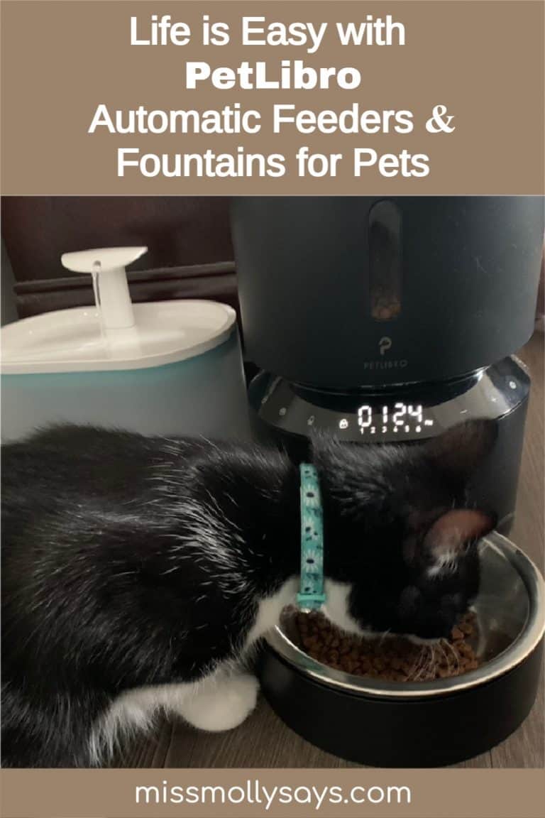 Life is Easy with PetLibro Automatic Feeders & Fountains for Pets ValentinesGifts2022