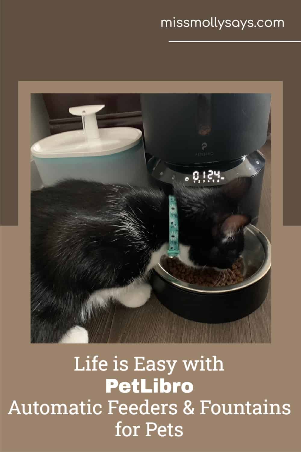 Life is Easy with PetLibro Automatic Feeders & Fountains for Pets ValentinesGifts2022