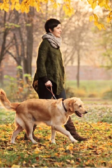 Woman walking a dog in Fall