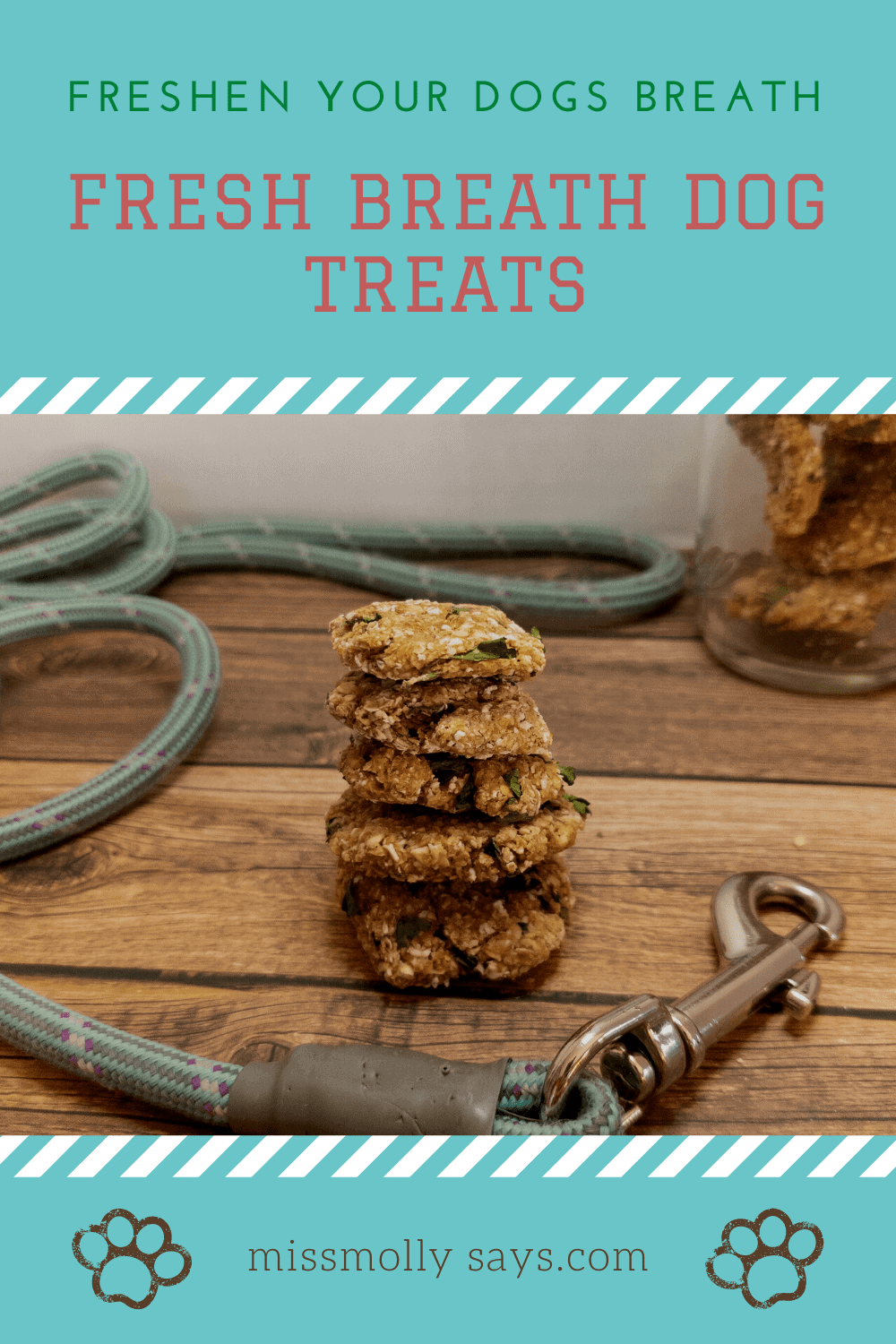Easy Fresh Breath Dog Treats for your Pooch! Miss Molly Says