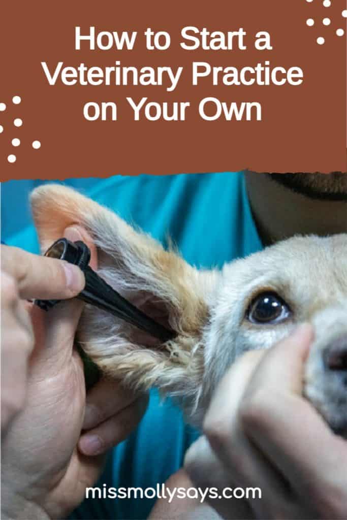 How to Start a Veterinary Practice on Your Own Miss Molly Says