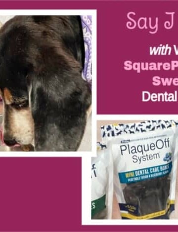 Say I Love You with Wholesome SquarePet Dog Food & Swedencare Dental Care Bones