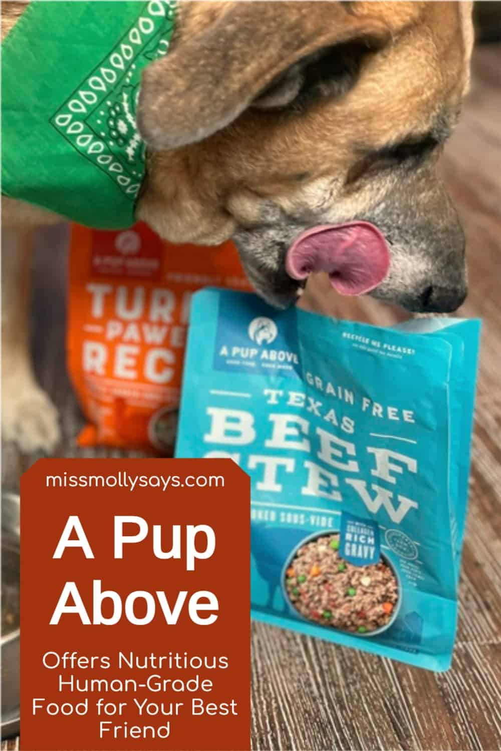 A Pup Above Offers Nutritious HumanGrade Food for Your Best Friend