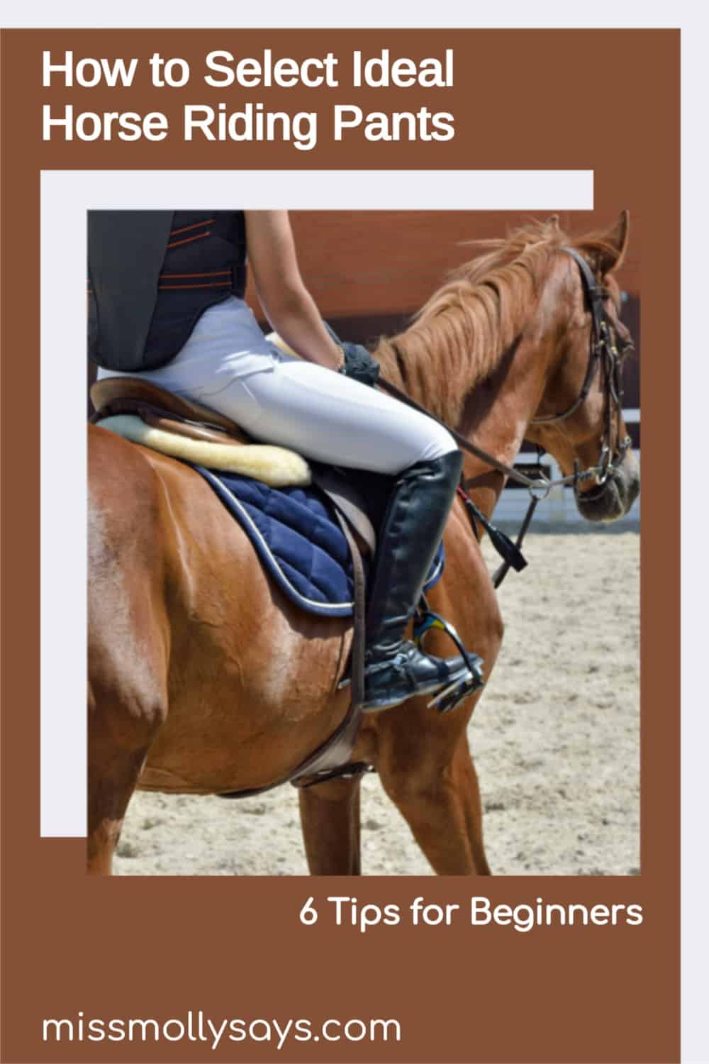 How to Select Ideal Horse Riding Pants 6 Tips for Beginners Miss