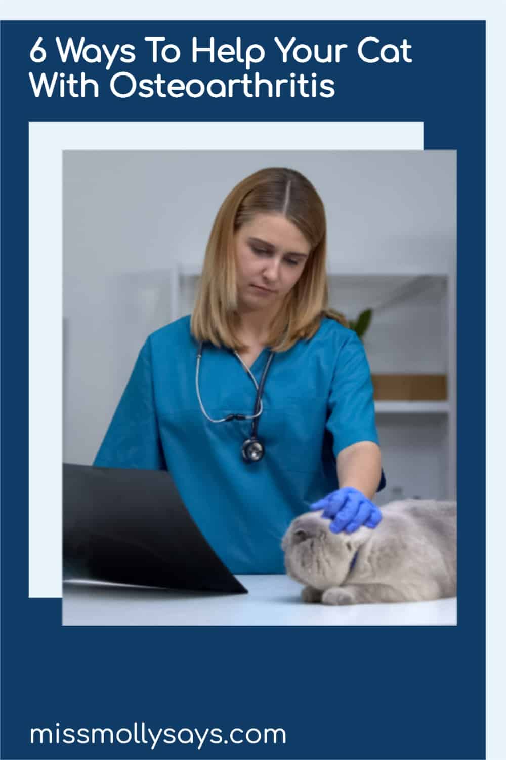 6 Ways To Help Your Cat With Osteoarthritis Miss Molly Says
