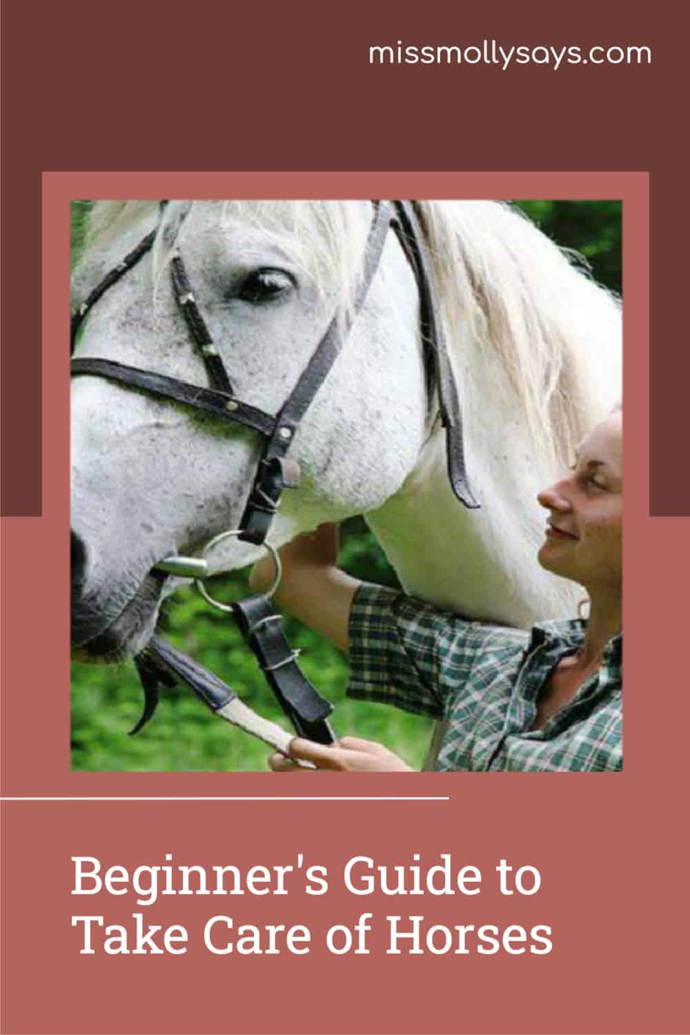 Beginner's Guide to Take Care of Horses Miss Molly Says