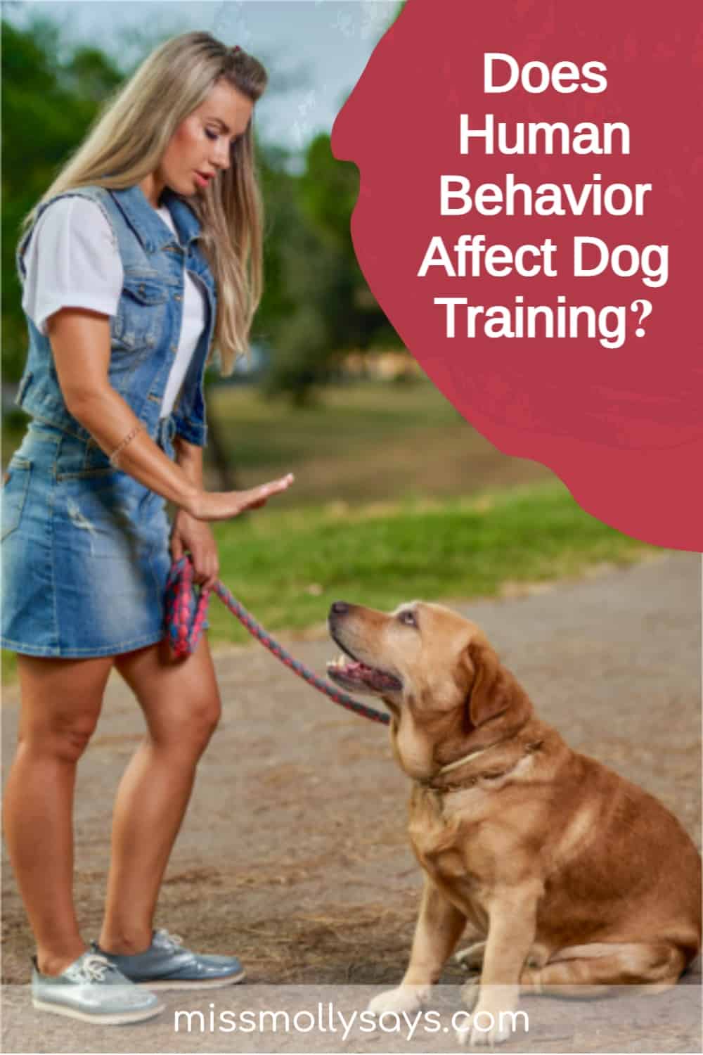 Does Human Behavior Affect Dog Training? Miss Molly Says