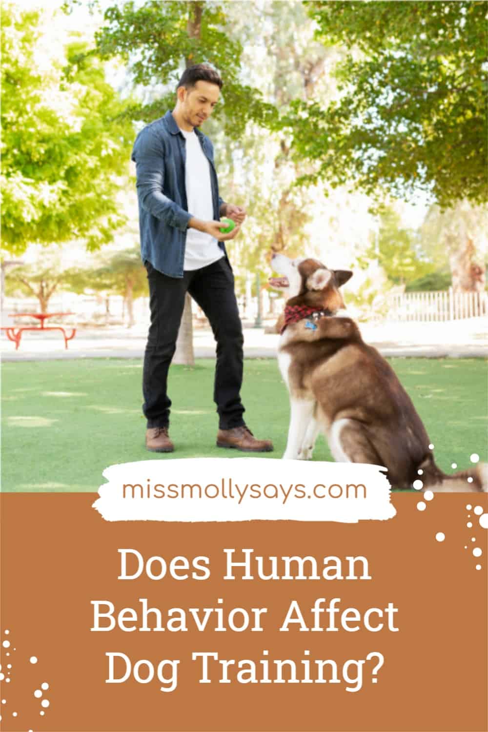 Does Human Behavior Affect Dog Training? Miss Molly Says