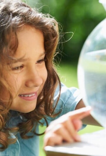 Little girl looking at goldfish in a bowl