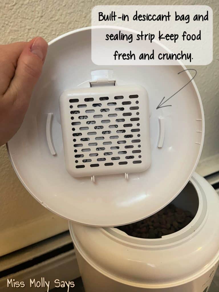 Monitor Your Pet's Food With Petlibro Granary Camera Monitoring Feeder