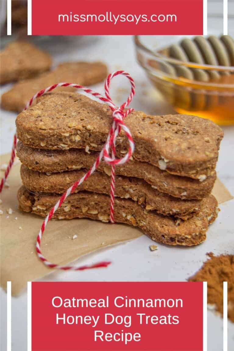 Oatmeal Cinnamon Honey Dog Treats Recipe Miss Molly Says