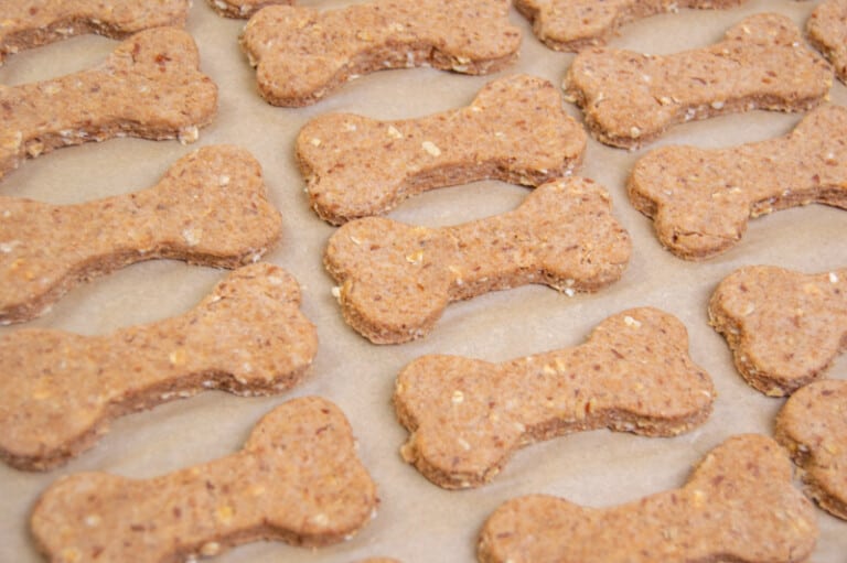 Oatmeal Cinnamon Honey Dog Treats Recipe Miss Molly Says