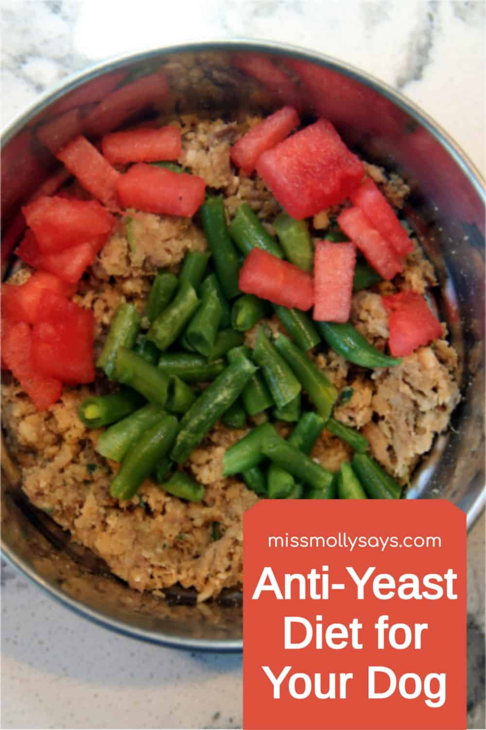 AntiYeast Diet for Your Dog Miss Molly Says