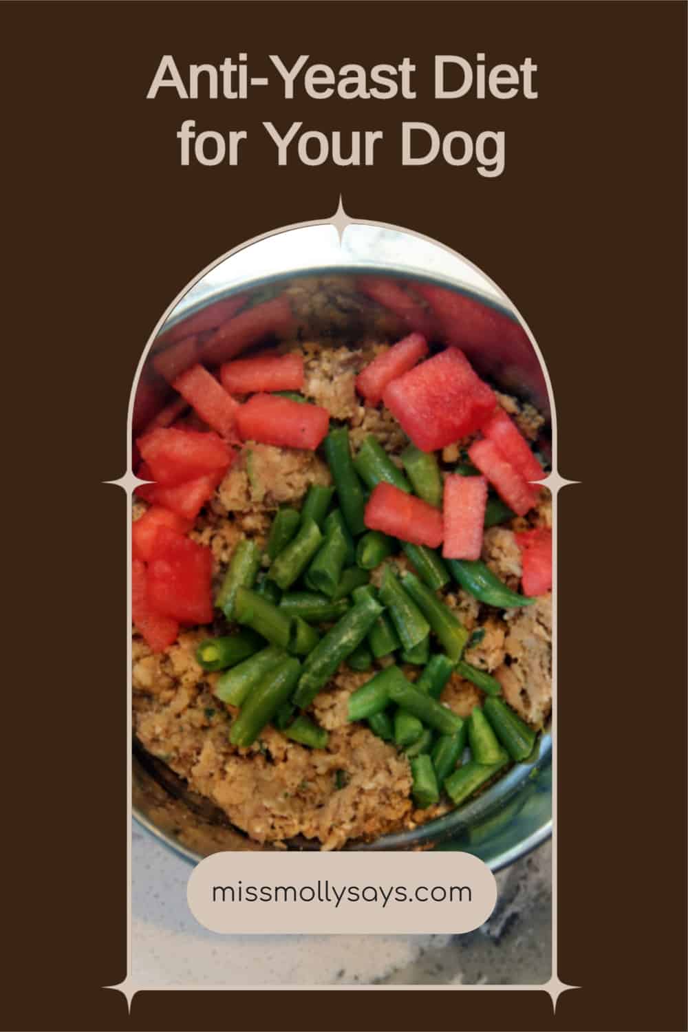 AntiYeast Diet for Your Dog Miss Molly Says