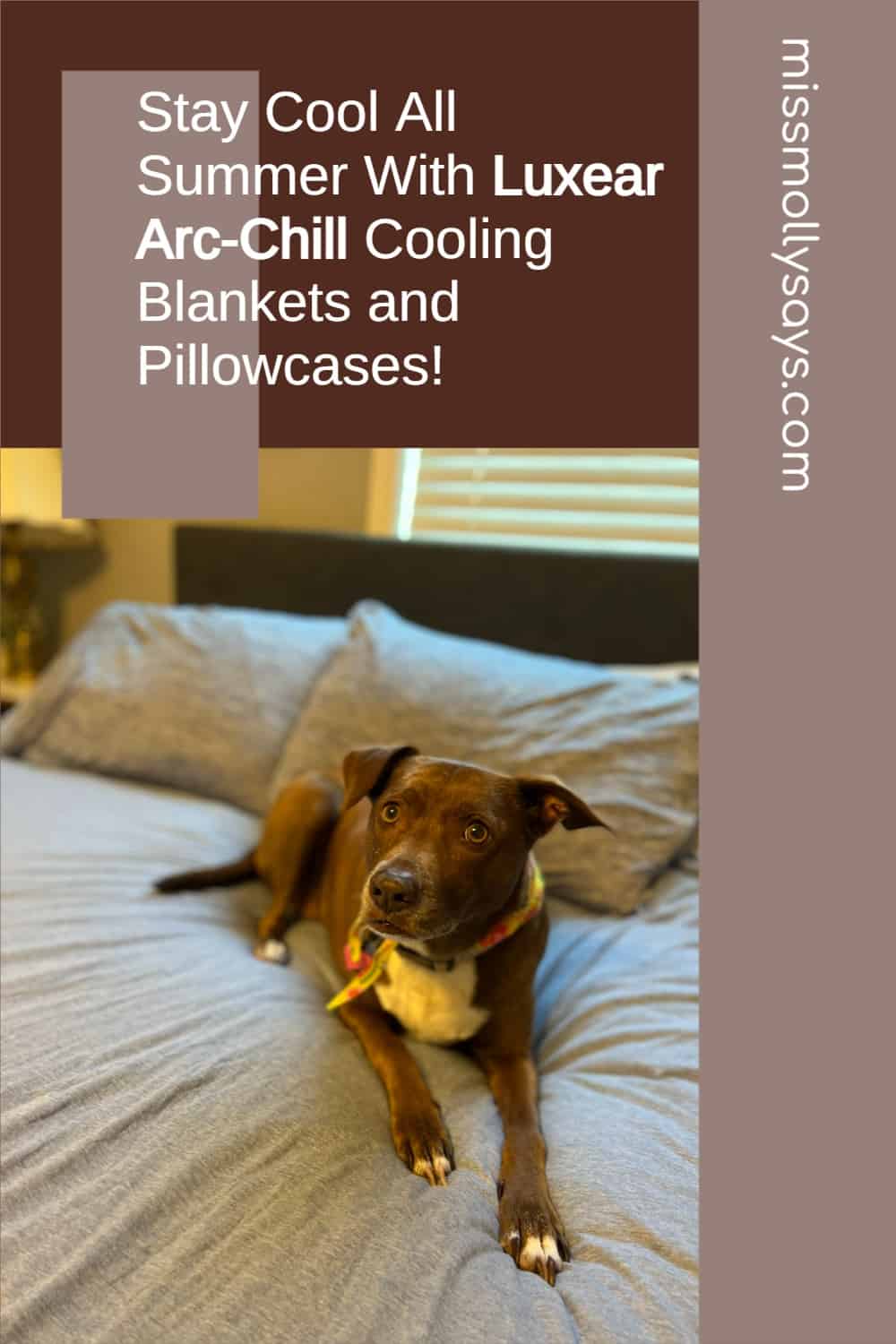 Stay Cool All Summer With Luxear ArcChill Cooling Blankets