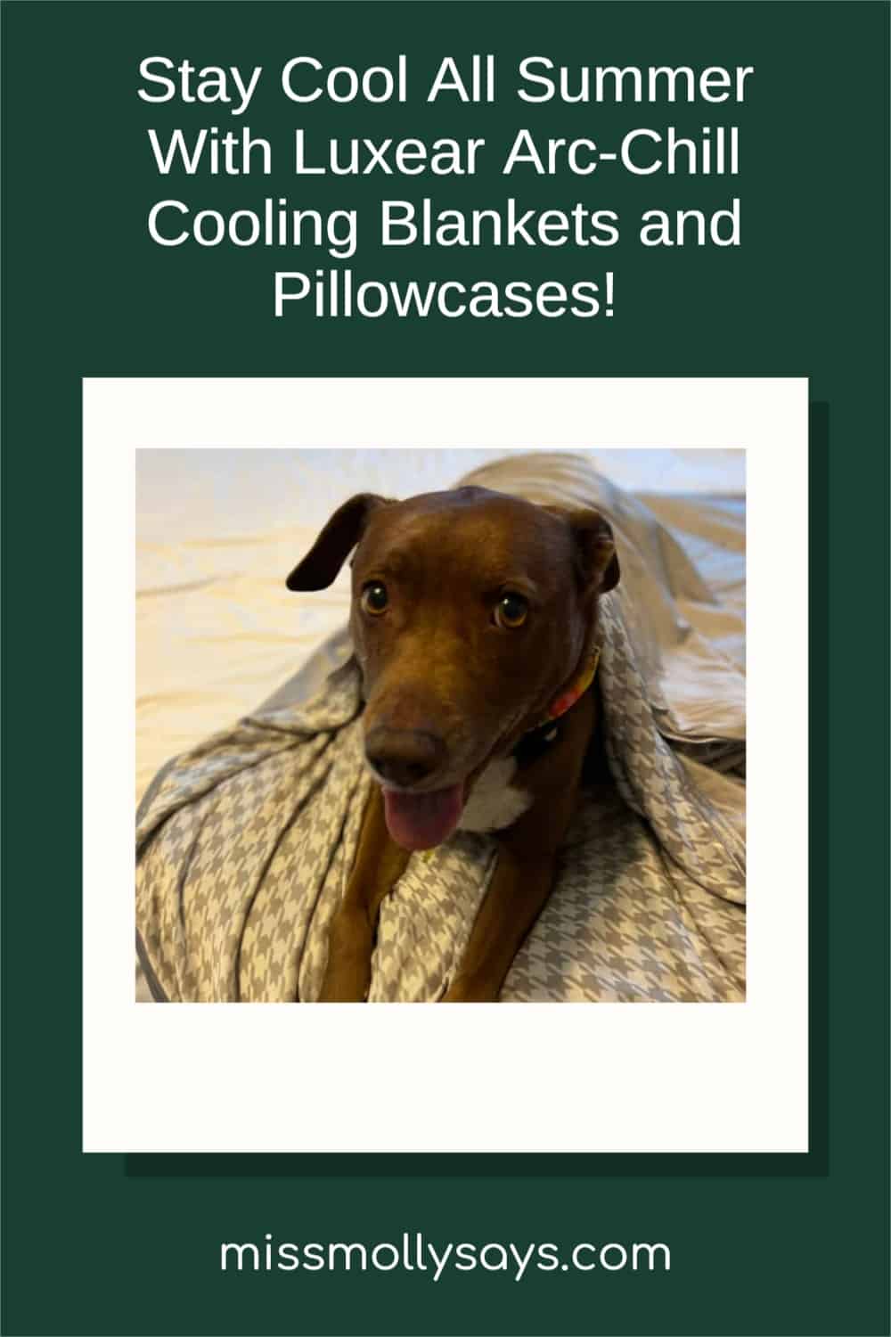 Stay Cool All Summer With Luxear ArcChill Cooling Blankets