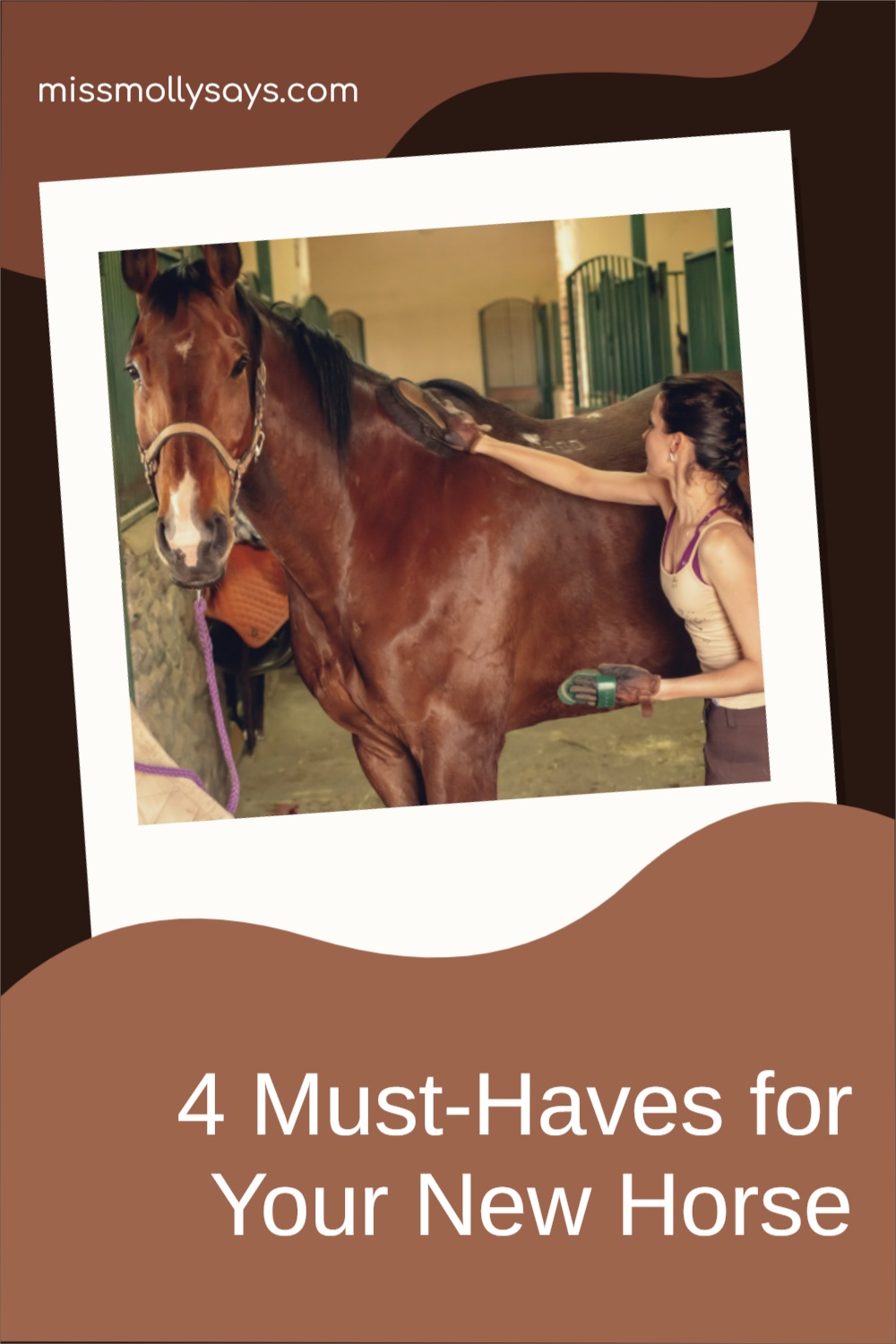 4 MustHaves for Your New Horse Miss Molly Says