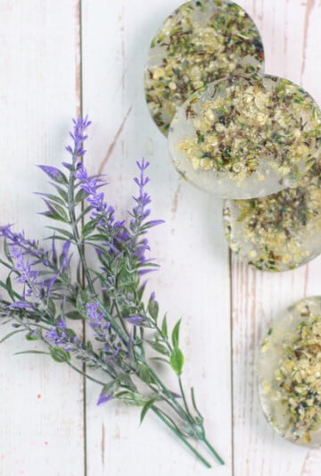 Homemade Dog Shampoo Soap Bars for Itchy Skin