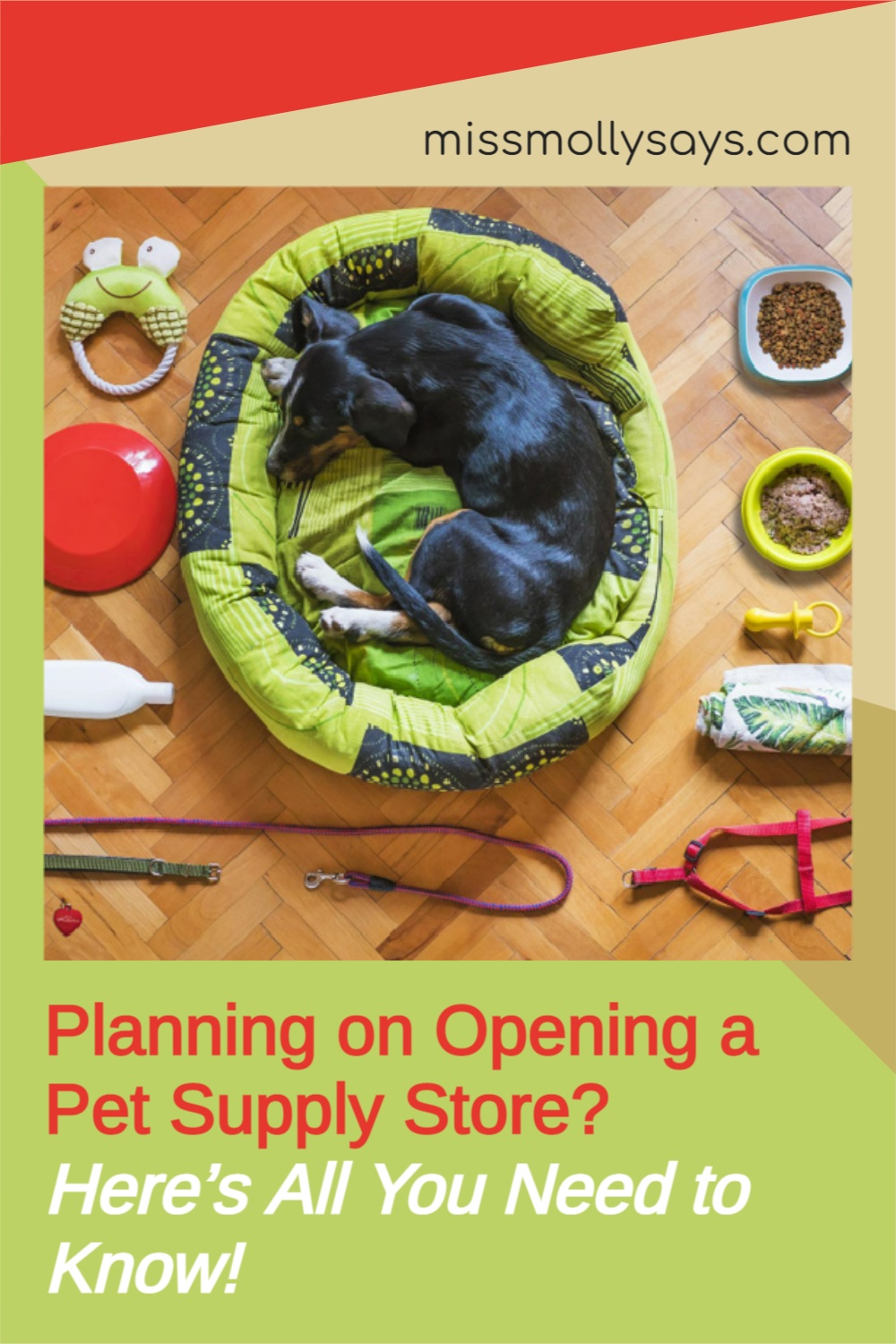Planning on Opening a Pet Supply Store? Here’s All You Need to Know