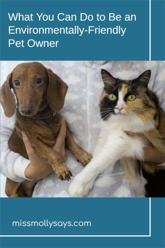 What You Can Do to Be an EnvironmentallyFriendly Pet Owner