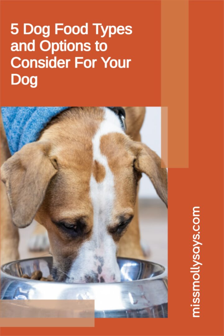 5 Dog Food Types and Options to Consider For Your Dog Miss Molly Says