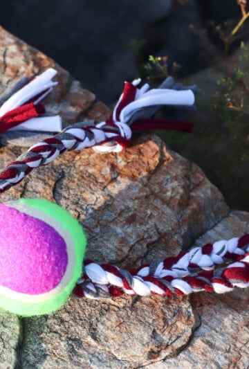 DIY Upcycled Dog Toy