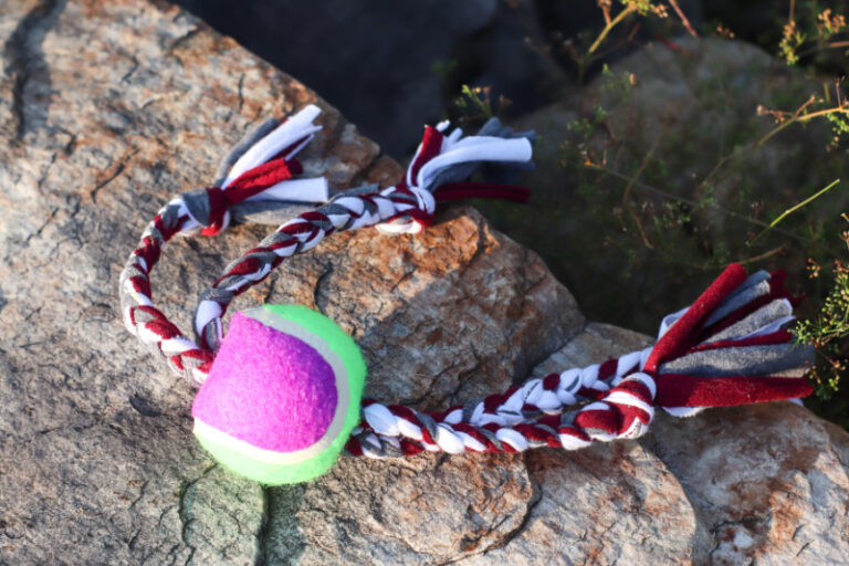 How to Make an Entertaining Upcycled Dog Toy from an Old TShirt