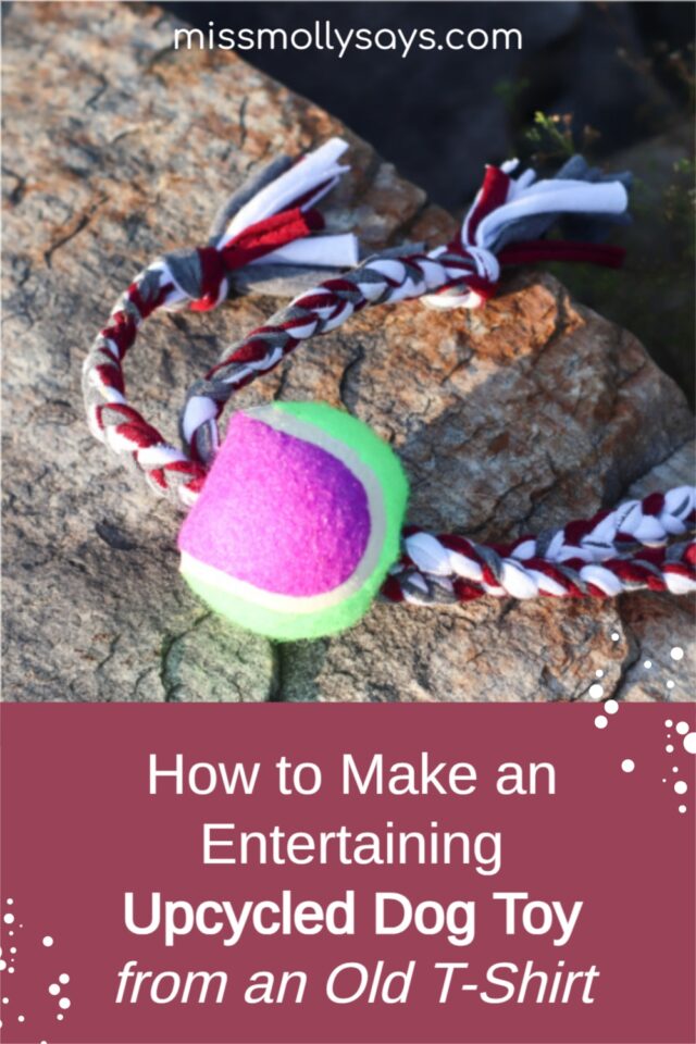 How to Make an Entertaining Upcycled Dog Toy from an Old TShirt