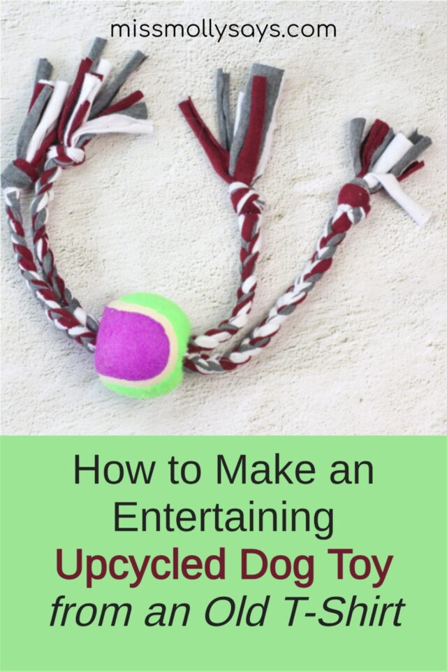 How to Make an Entertaining Upcycled Dog Toy from an Old TShirt