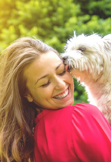 Small white dog licking his owner on the face