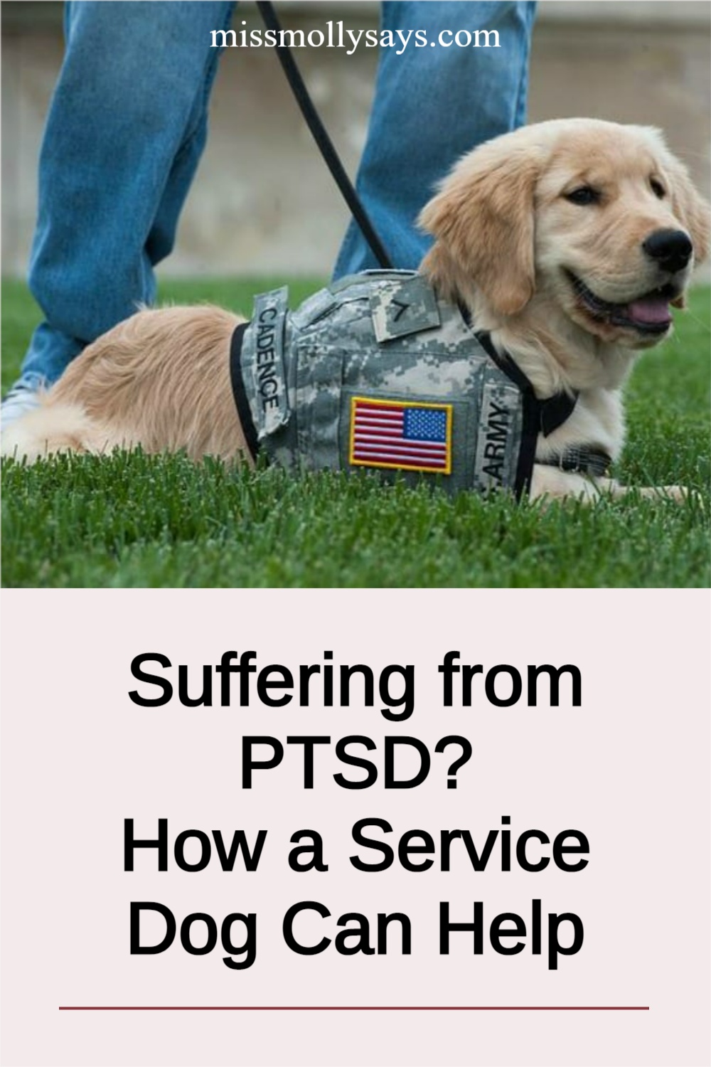 Suffering from PTSD? How a Service Dog Can Help Miss Molly Says