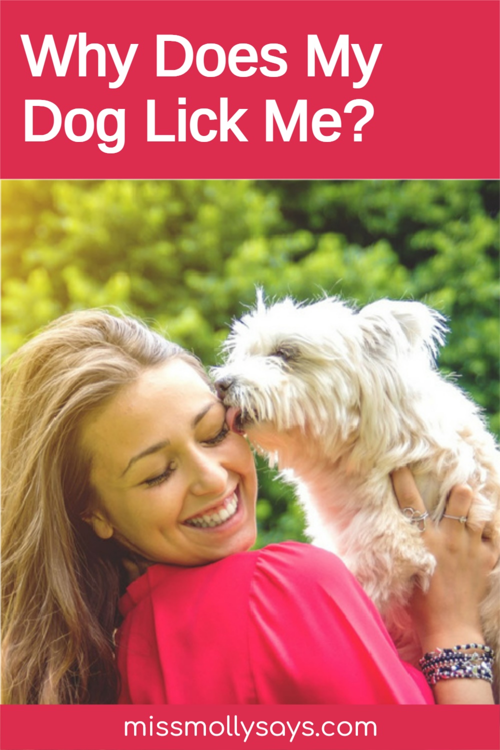 Why Does My Dog Lick Me? Miss Molly Says