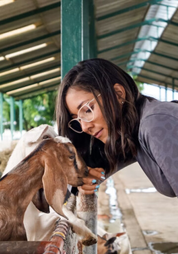 5 Animal Infections That Penicillin Can Help