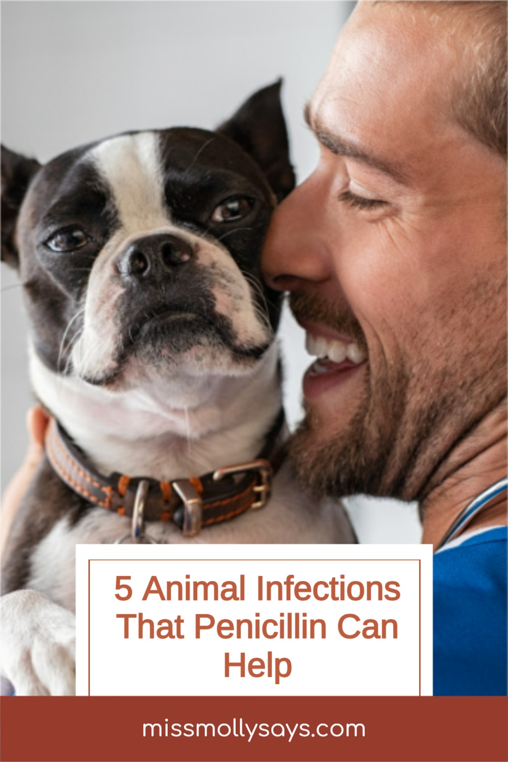 5 Animal Infections That Penicillin Can Help Miss Molly Says