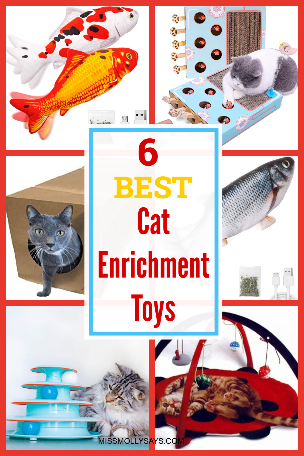 6 of the Best Cat Enrichment Toys Miss Molly Says