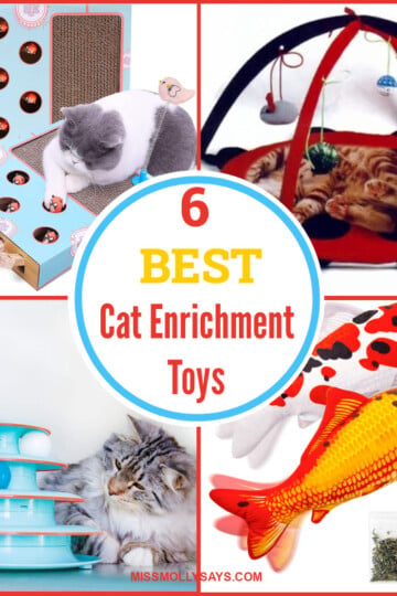 6 of the Best Cat Enrichment Toys