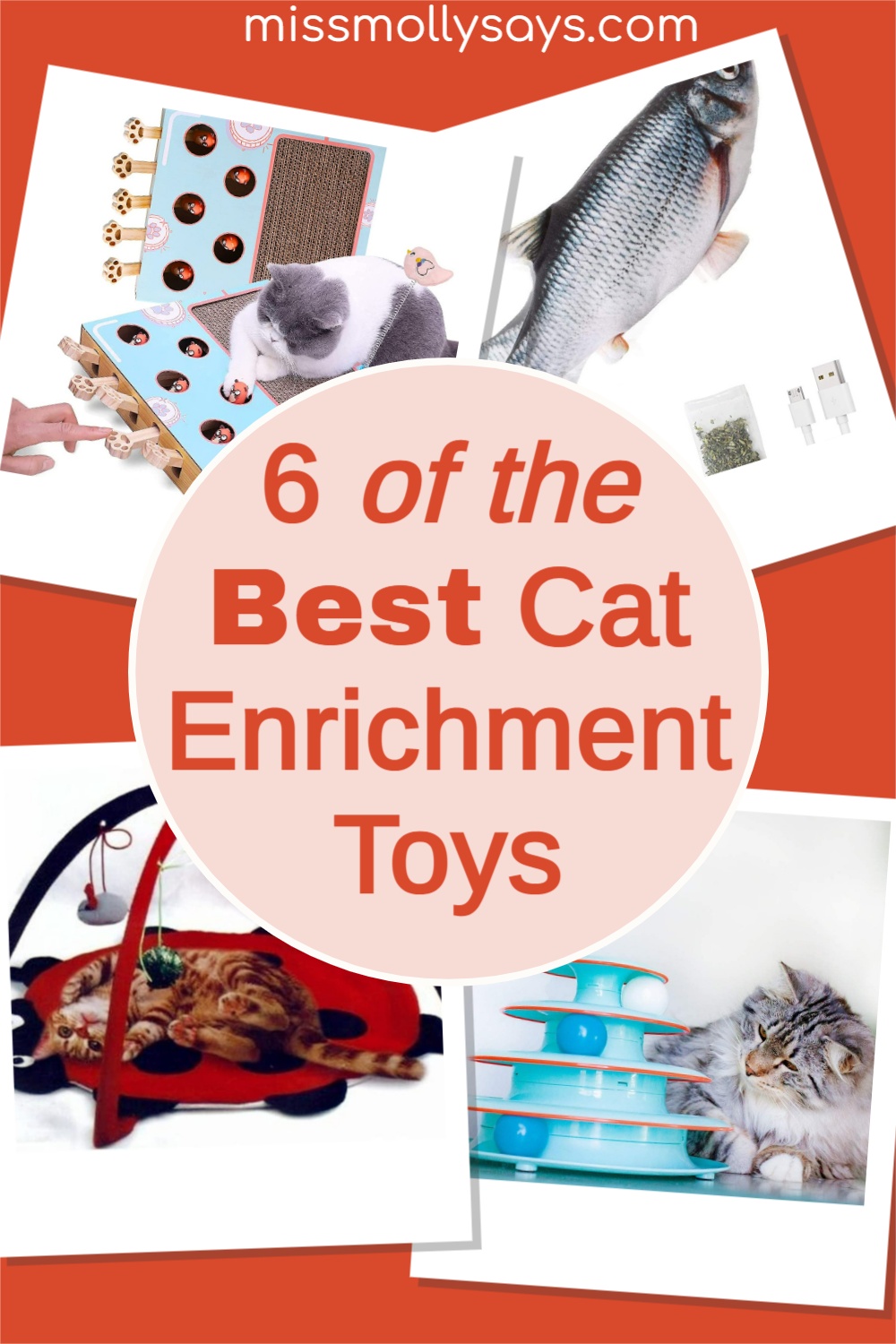 6 of the Best Cat Enrichment Toys Miss Molly Says