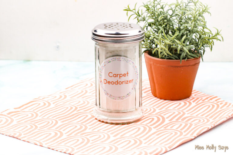 DIY Carpet Deodorizer Using Essential Oils Miss Molly Says
