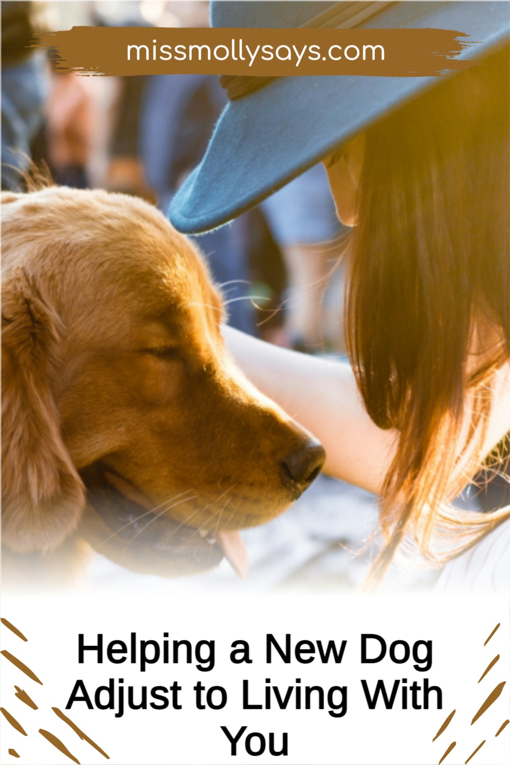 Helping a New Dog Adjust to Living With You Miss Molly Says