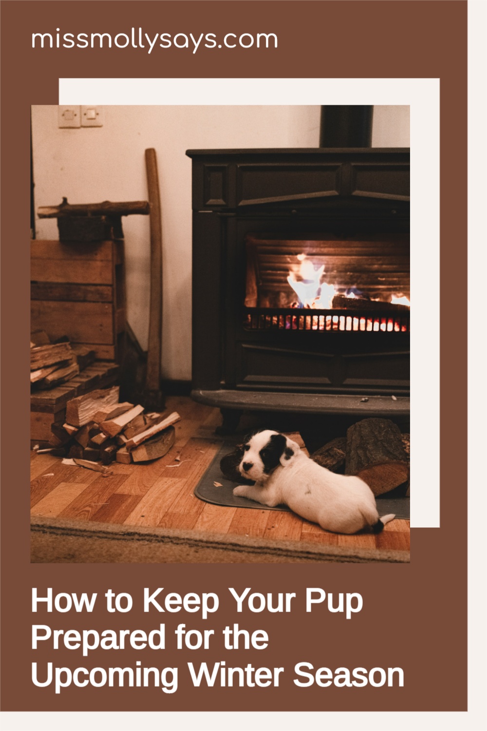 How to Keep Your Pup Prepared for the Upcoming Winter Season