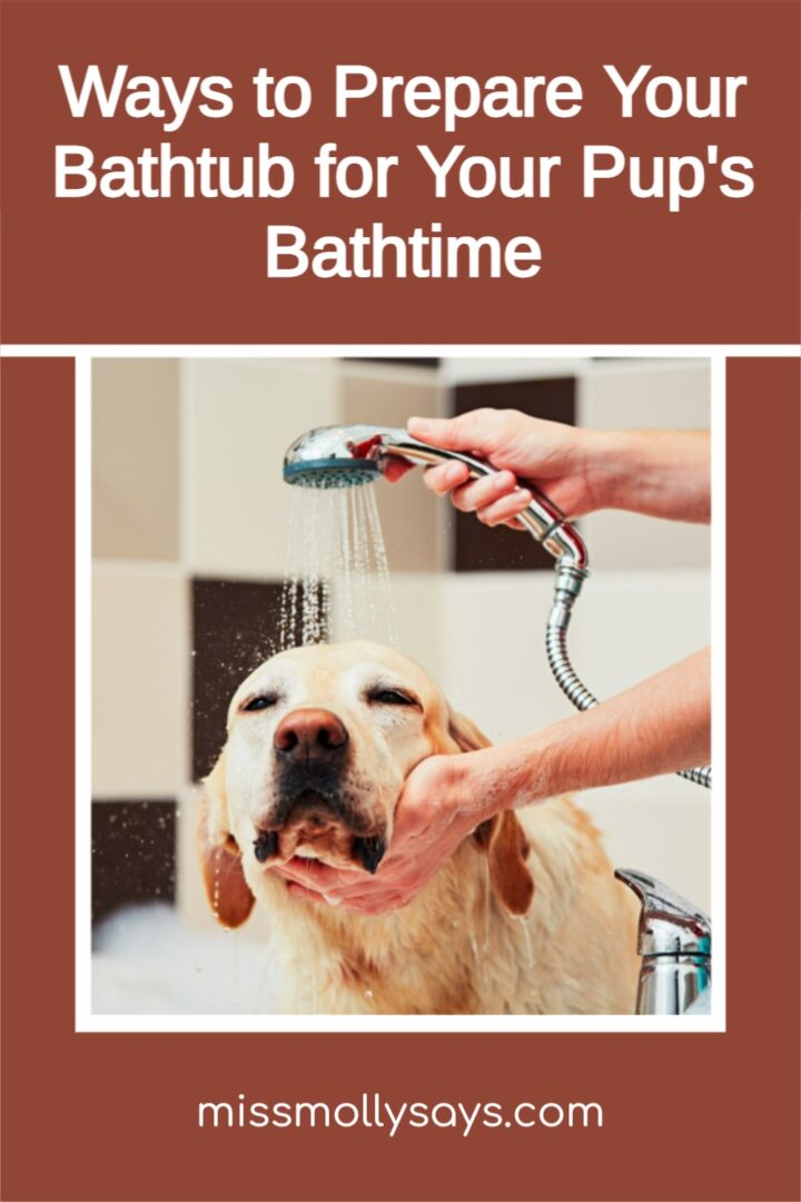 Ways to Prepare Your Bathtub for Your Pup's Bathtime Miss Molly Says