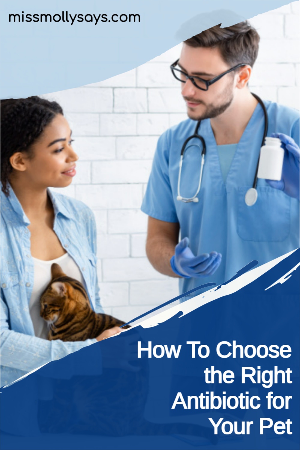How To Choose the Right Antibiotic for Your Pet Miss Molly Says