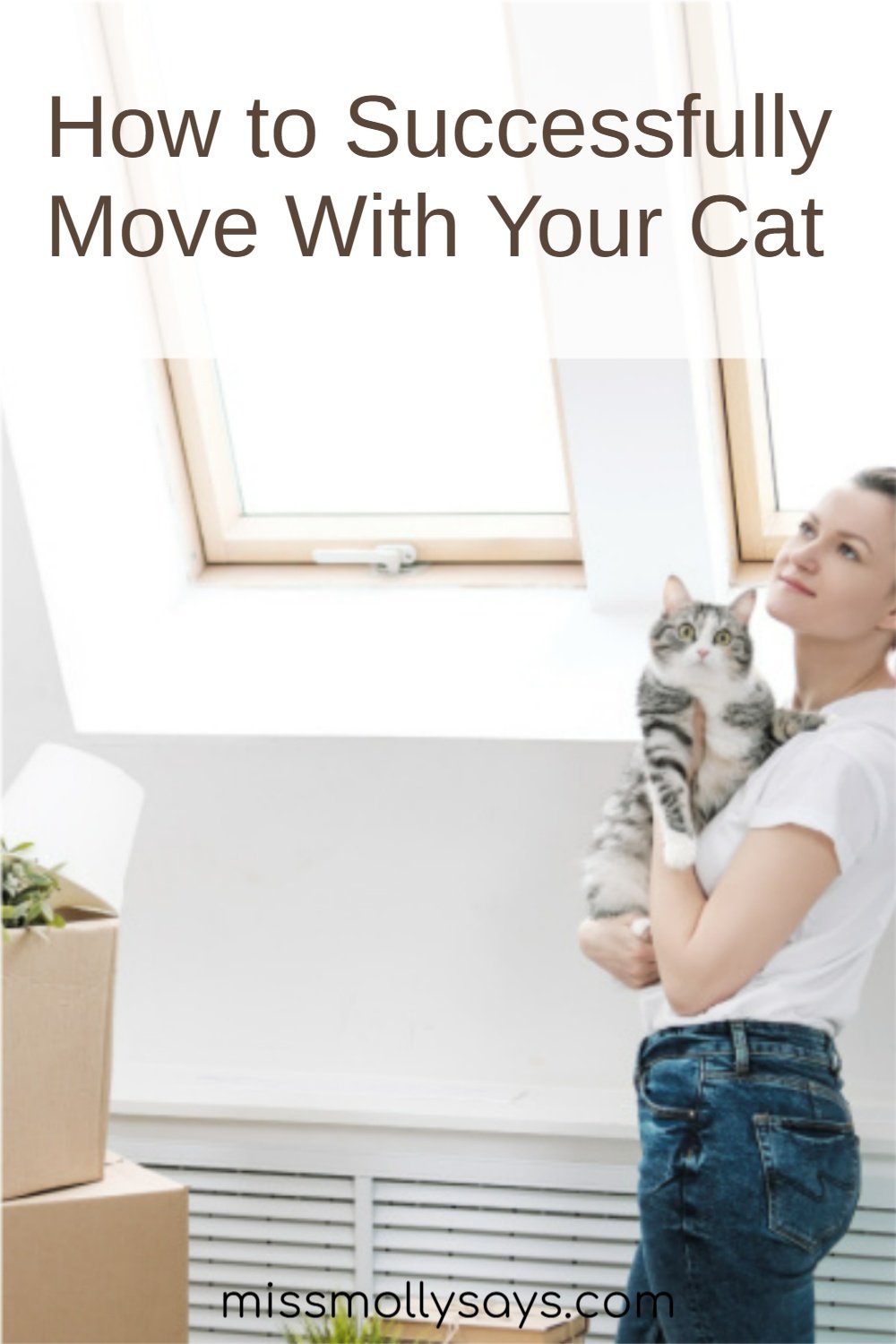 How to Successfully Move With Your Cat Miss Molly Says