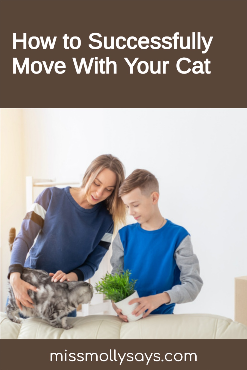 How to Successfully Move With Your Cat Miss Molly Says