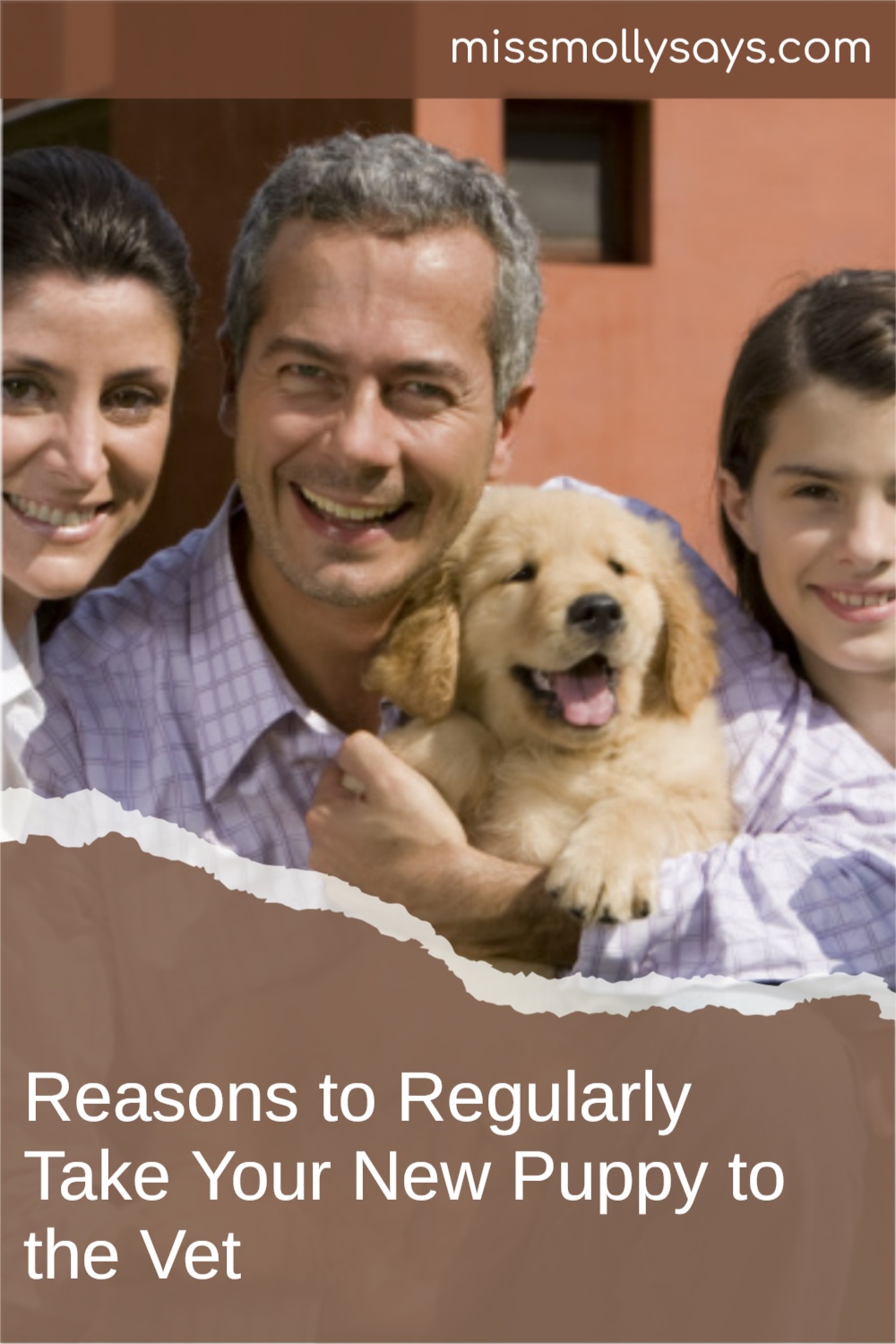 Reasons to Regularly Take Your New Puppy to the Vet Miss Molly Says