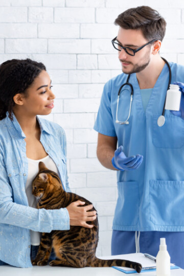 Woman at vet with her cat being prescribed antibiotics